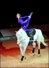 Quelle est cette discipline questre ?