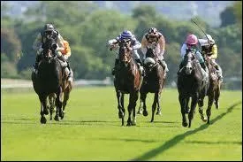 Les chevaux de course atteignent une vitesse de ...