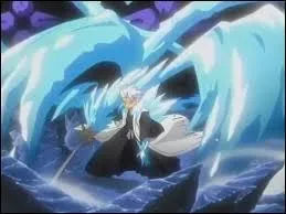 Quel est le nom du bankai de Hitsugaya ?