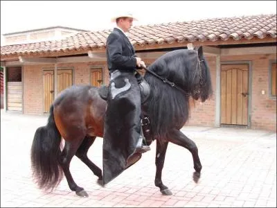 Quelle est cette race ?