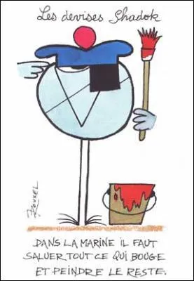 Quelle forme a la plante Shadok ?