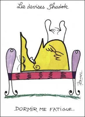 O se situe la plante Shadok ?