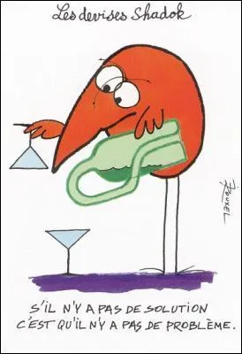 Comment s'appelle le chef des Shadok ?