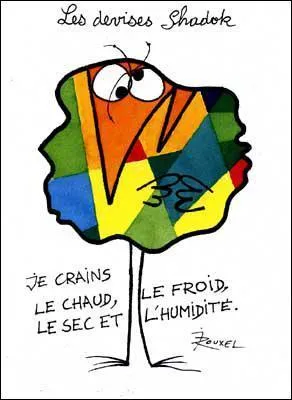 Qui est le cateur des Shadoks ?