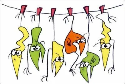 En quel endroit entasse-t-on tous les Shadoks qui ne donne pas entire satisfaction ?