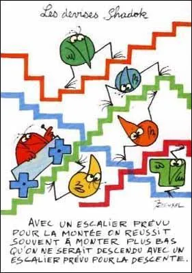 Quel est le grand projet des Shadoks ?