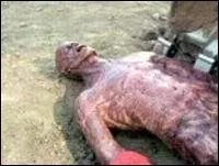 De qui cette dépouille est-elle la victime ?