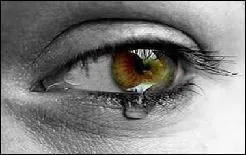 Quelle chanteuse anglaise crative, qui joue de la guitare, du piano et de l'autoharp, s'est mue en chroniqueuse de guerre sur son dixime album,  Let England Shake , sorti en 2011  ?