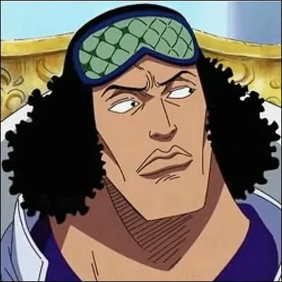 Quel le fruit du dmon d'Aokiji ?