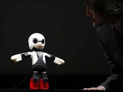 On le voit parler ici au directeur gnral du projet. Mais en quelle langue parle-t-il ?