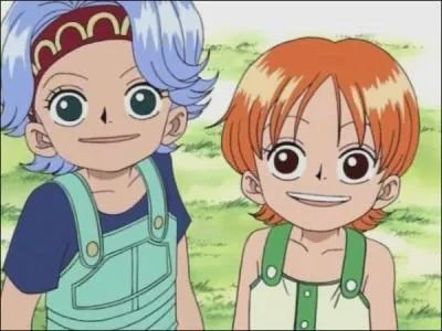 Quel ge avait Nami quand son village a t attaqu pour la premire fois par Arlong et sa bande ?