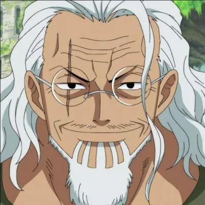 Comment s'appelle l'ancien mdecin de bord de l'quipage de Gol D. Roger ?