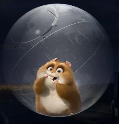 Plus facile, ce petit hamster vient du film ...