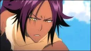 Cette femme peut se transformer en chat. Son admiratrice, c'est Soi Fon. Elle s'appelle Yoruichi Shihin. De quel manga est-elle issue ?