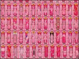 Combien de cartes Sakura a-t-elle captures ? (une rponse possible)