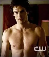 Qui joue Damon Salvatore ?
