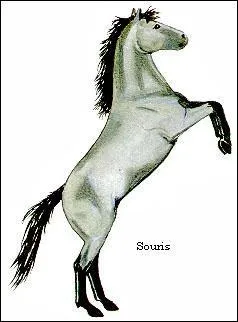 Quelle est cette robe ?