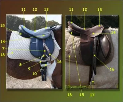 Comment s'appelle la partie n7 ?