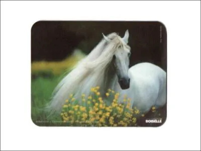 Comment s'appelle cette robe ?