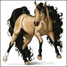 Comment s'appelle cette robe ?