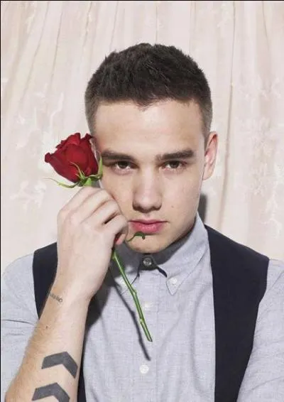 Dans leur nouveau clip,  Best Song Ever , quel rle joue Liam Payne ?