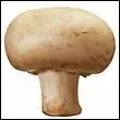 Un champignons de paris c'est ...