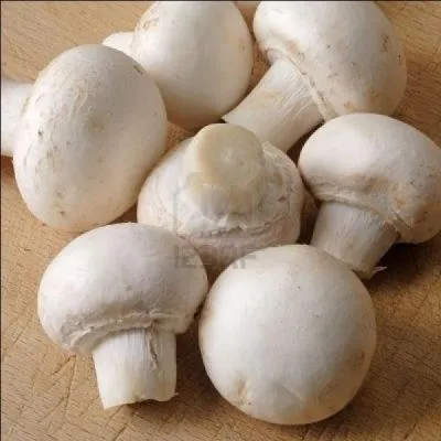 Quel est le nom plus connu de ces champignons de couche nommés Agaricus bisporus ?