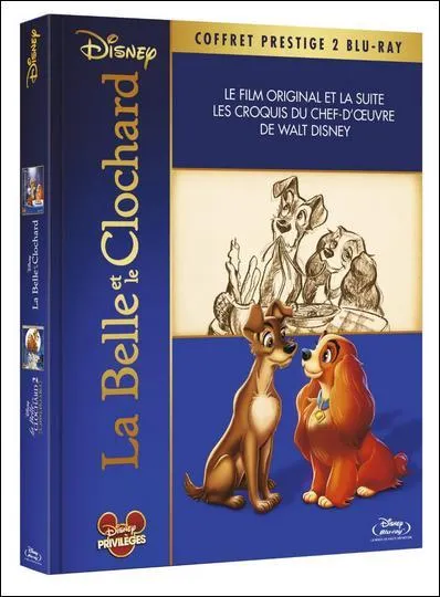 Quel film n'a pas eu le droit  un coffret prestige digibook en France ?