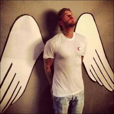 Quel est l'animal prfr de Matthieu ?