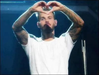 Quel est le dernier tatouage de Matt ( En sachant que le quizz a t fait le 20 aot 2013 ) ?