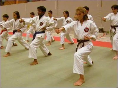 Le karat est un art martial ...