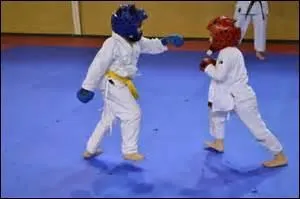 Comment s'appelle  le grade  en karat ?