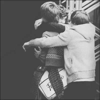 Quel  bromance  ou  romance . . est surnomme  Larry Stylinson  ?