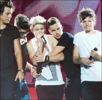 Quel est le nouveau single des boys ? (2013)