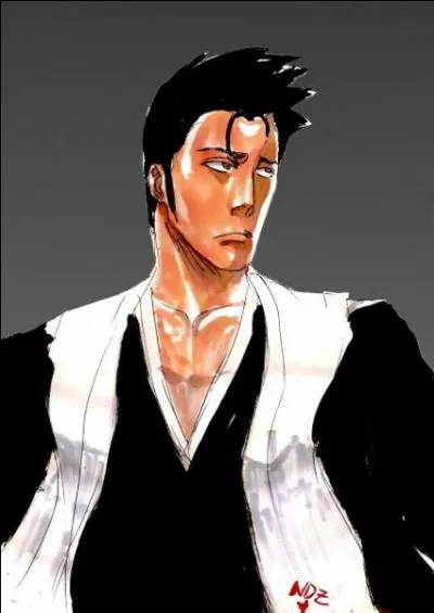 De quelle division faisait partie le pre d'Ichigo ?