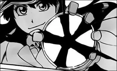 Quels sont les capitaines qui perdent leur Bankai ?