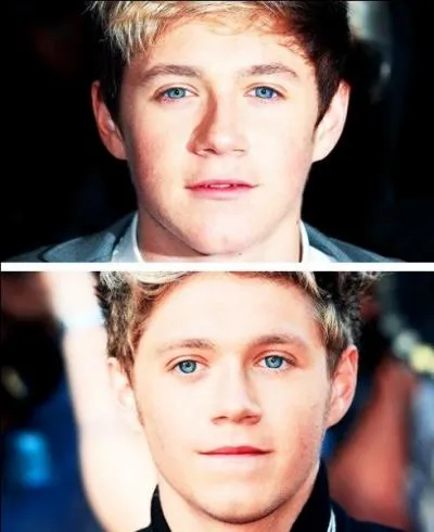 Quelle est la partie du corps que Niall prfre chez une fille ?