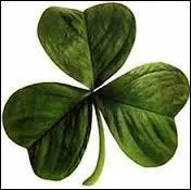 Qui n'a PAS chanté ''Song for Ireland'' ?