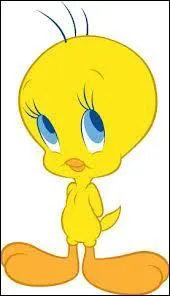 Comment s'appelle ce mignon petit oiseau ?