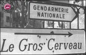 D'ailleurs, que se passerait-il si un humain avait un cerveau 2 fois plus gros qu'aujourd'hui ?