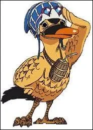 Combien y-a-t-il de canards dans l'escadron des supers colverts ?