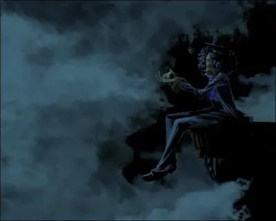 Avec combien de sabre(s) Brook se bat-il ?