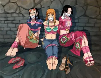 Qui aimerait tre la femme de Luffy ?