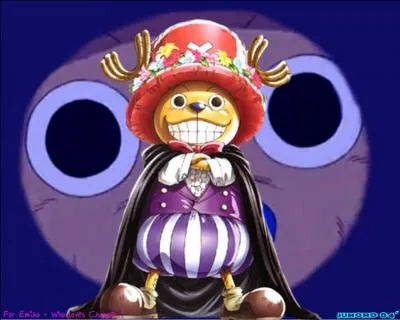 Quel est le fruit de Tony Tony Chopper ?
