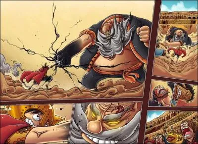 Quel haki Luffy ne possde-t-il pas ?