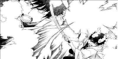 Comment Rin vient-il  bout du Fuj- ?