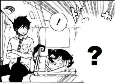 Qui s'assoit  ct de Rin dans le train ?