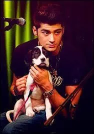 S'il devrait tre un personnage de Disney, qui serait Zayn ?