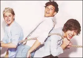 Qui a refus de chanter ne serait-ce qu'une chanson de l'album  Take me home  pendant une semaine car il voulait  tout prix faire le  OOW  dans  Heart attack  ?