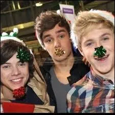 Qui adore regarder Zayn quand il dort parce qu'il est trop mignon et a un visage adorable ?